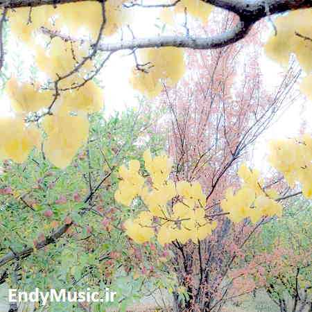 دانلود آهنگ آهویی دارم خوشگله با صدای بچه