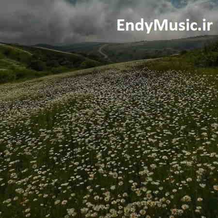 دانلود آهنگ به من میگن گل پری دل نمیدم سرسری آرمین نصرتی