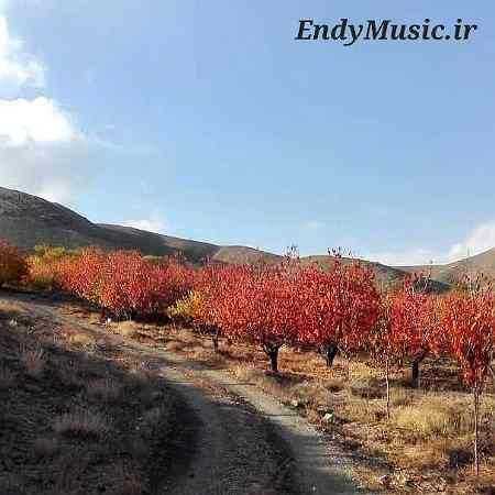 دانلود آهنگ هنوز روی درختا فقط جای کلاغه