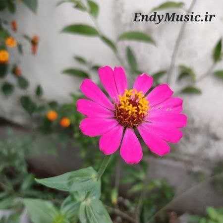 دانلود ریمیکس از یاد من برو خسته ام برو دلگیرم