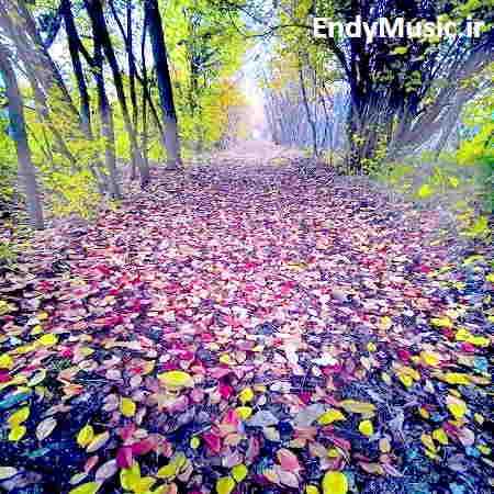 دانلود آهنگ تو بازار مکاره