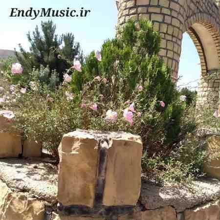 دانلود آهنگ تو رفتی و دلم غمین شد