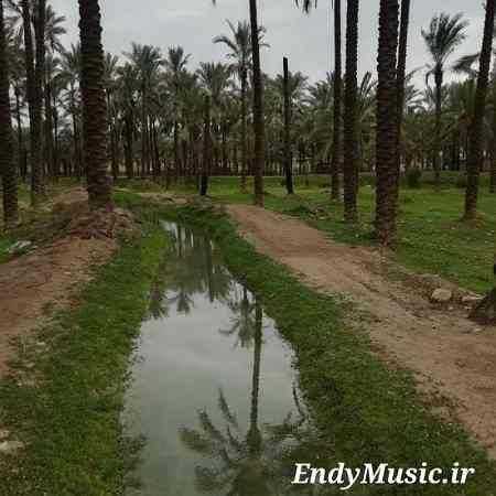 دانلود آهنگ فدات شم