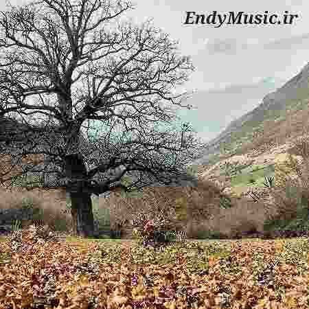 دانلود آهنگ دکمتو زدم بچه بدو برو فدایی