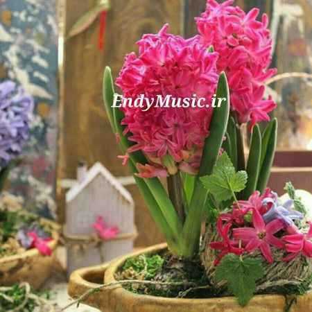دانلود آهنگ اگه یه روزی نوم تو فرامرز اصلانی و داریوش