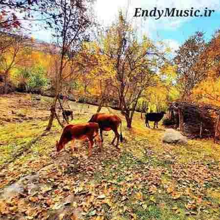دانلود آهنگ میخوام برم کوه شکار آهو فریدون فرخزاد