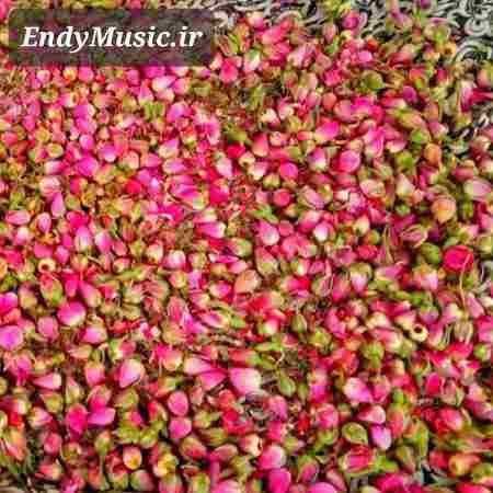 دانلود آهنگ دریا دریا دریا عشق مو دریا جلال همتی
