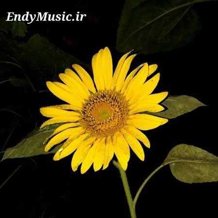 دانلود آهنگ ای جان لباشو کامیار