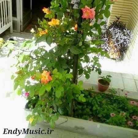 دانلود آهنگ به یاد تو نفس میکشم کار دله محسن دولت