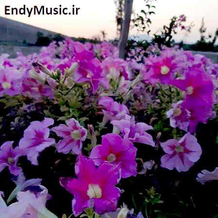 دانلود آهنگ همه چیم یار یار قربون تو وای وای مجتبی صادقی و عباسعلی خرم