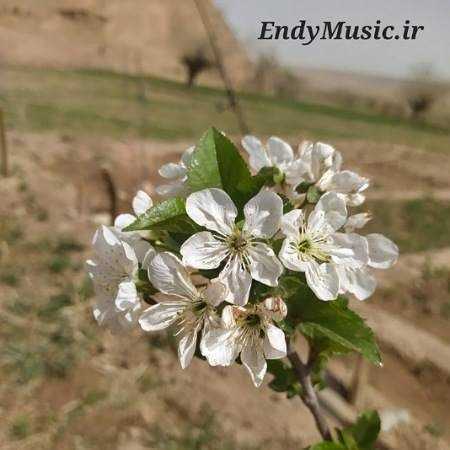 دانلود ریمیکس میگن مستی گناهه