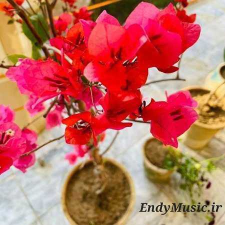 دانلود آهنگ وقتی بارون چشم تو چشم منم تر میکنه شهاب تیام