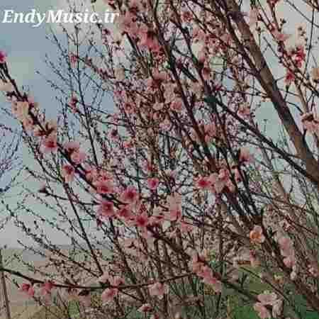 دانلود آهنگ ای گل من دوست داشتنو تو بیا یادم بده طوفان