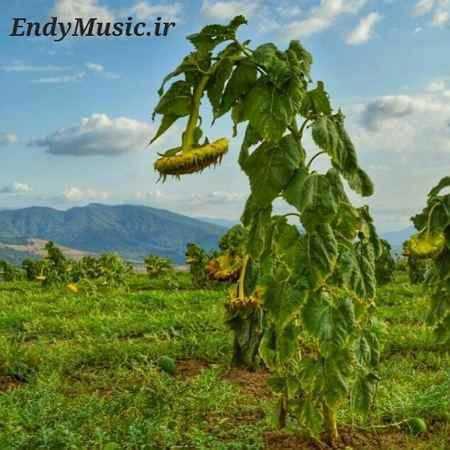 دانلود آهنگ هرگز بی تو نمیخندم احمد ظاهر