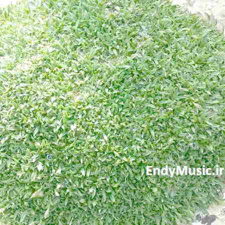 دانلود ریمیکس چشمات چشمات دنیامو سوزوند چشمات با صدای بچه