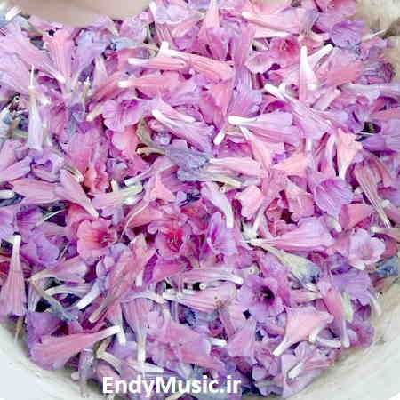 دانلود آهنگ کاشکی چشمات با چشمام یه ذره مهربون بود داوود یونسی