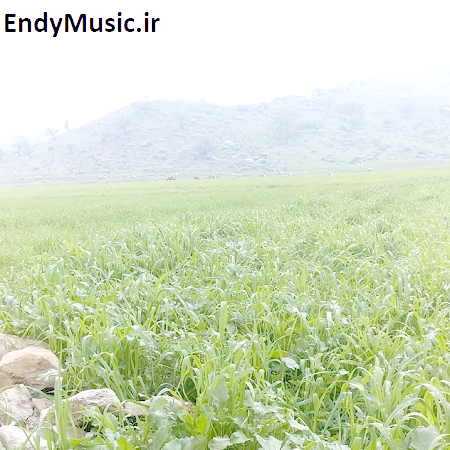 دانلود آهنگ چقدر عوض شدی دیگه مثل قبلنا نمیخندی فدایی