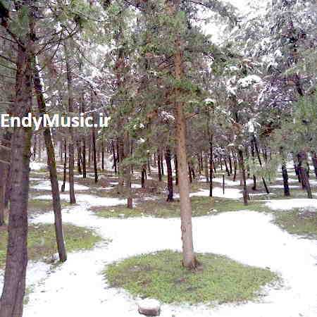 دانلود آهنگ کی میدانه دلم آشوبه به همه میگم حالم خوبه فرهاد جهانگیری