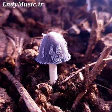 دانلود آهنگ دیگه نوری نیست تو این شبام فرهاد زیاک