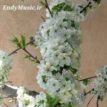 دانلود آهنگ غم تنهایی اسیرت میکنه فریدون فروغی