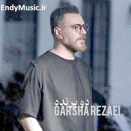 دانلود آهنگ دو پرنده گرشا رضایی