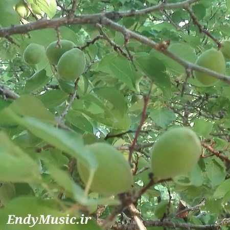 دانلود ریمیکس چه زیاد شده فاصلمون
