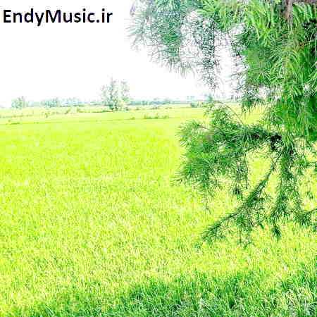 دانلود آهنگ ای از عشق پاک من همیشه مست گلپا