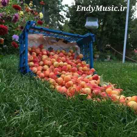 دانلود آهنگ هرگز بی تو نمیخندم جلال همتی