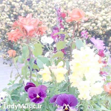 دانلود ریمیکس مگه دوسم نداشتی چرا رفتی تنهام گذاشتی