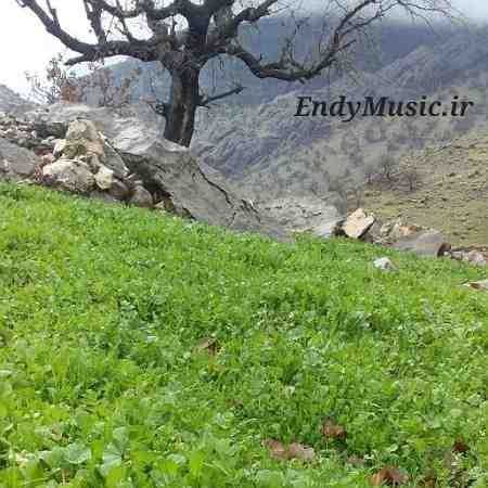 دانلود آهنگ اگه دلی گرفته داری که نباید گریه کنی مهدی عسگری