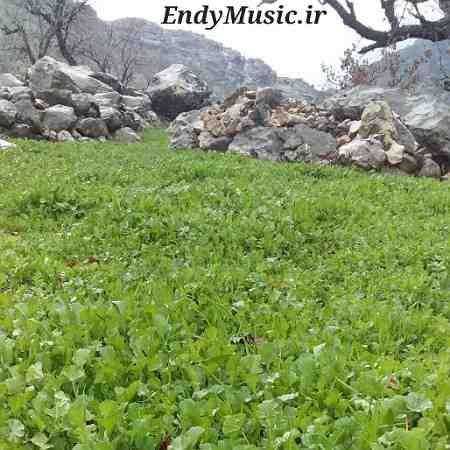 دانلود آهنگ ای ساربان آهسته ران میلاد والا