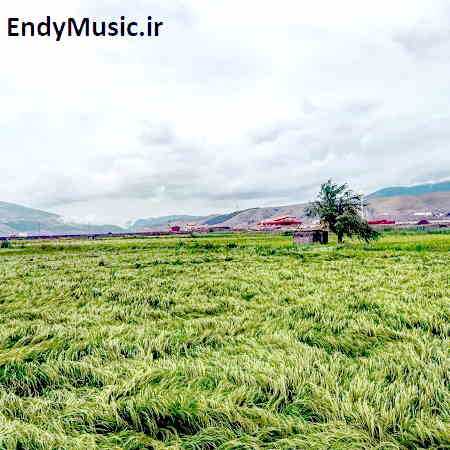 دانلود آهنگ هنوز زندانبان قلبمی تو رضا رادین