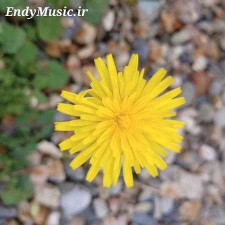 دانلود آهنگ یه روزی تنگ غروب آسمون صادق بوقی