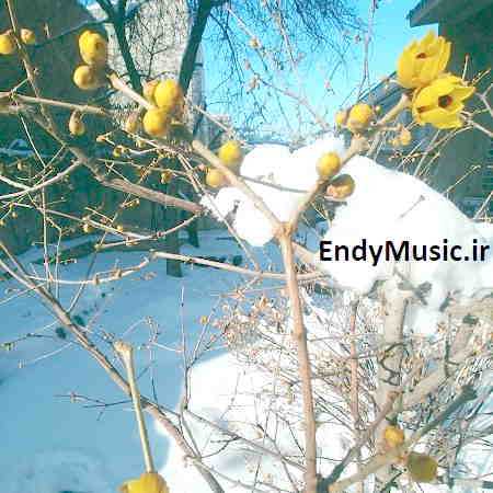 دانلود آهنگ بله رو بگو ای یار سعید آسایش