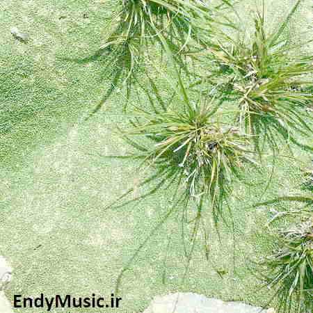 دانلود ریمیکس طناز چه قشنگه چشمات سعید شایسته