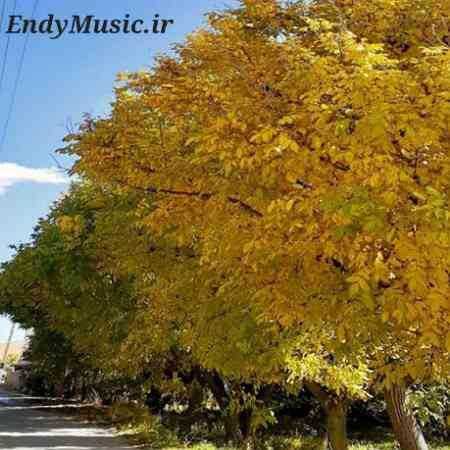 دانلود آهنگ یه بارون گردی با چترت شهیار قنبری