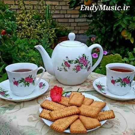 دانلود ریمیکس گریه هامو ندیدی علی احمدیانی