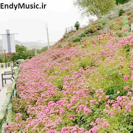 دانلود ریمیکس یعنی نمیای منو یادت میره عرشیاس