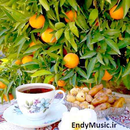 دانلود آهنگ دل تو امروزیه قصه ی دوست داشتنو باور نداره قاسم فاضلی