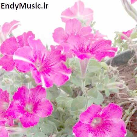 دانلود آهنگ غم تنهایی داره روحمو آتیش میزنه حبیب