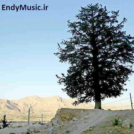 دانلود آهنگ مادر بی تو تنها و غریبم(ورژن جدید) حبیب