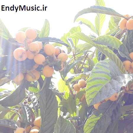 دانلود آهنگ بابا تو دیگه کی هستی مهرشاد