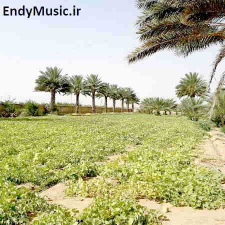 دانلود ریمیکس بابا تو دیگه کی هستی مهرشاد