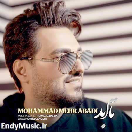 دانلود آهنگ تا ابد محمد مهرآبادی