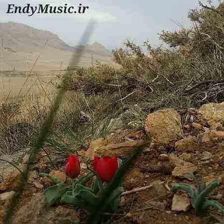 دانلود آهنگ دلم چه تنگه هوای گریه داره مرتضی جعفرزاده