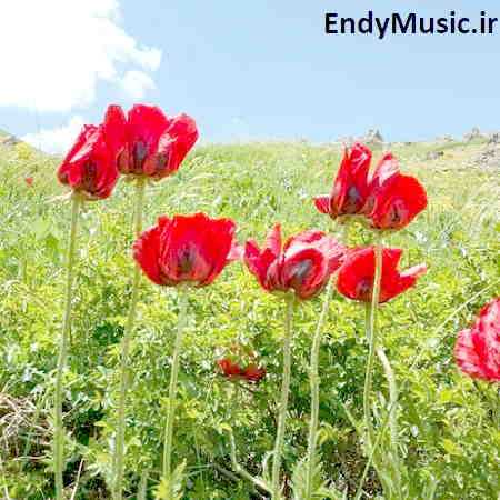 دانلود آهنگ وصیت ناجی