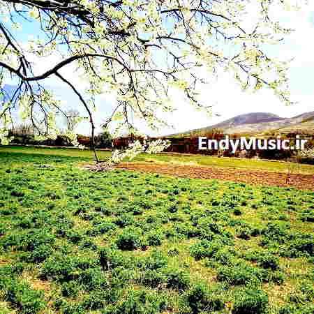 دانلود ریمیکس تو تنهایی قلبم یه شب نقش تو افتاد
