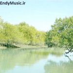 دانلود آهنگ من که یه روزی نیمه ی گمشده ی دلت بودم افشین آذری و حمید فلاح