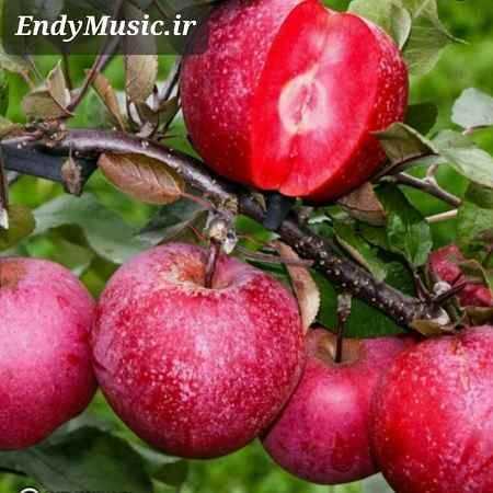 دانلود ریمیکس آب و آتش 119 دی جی تبا