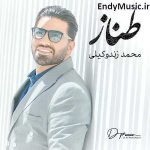 دانلود آهنگ طناز محمد زند وکیلی